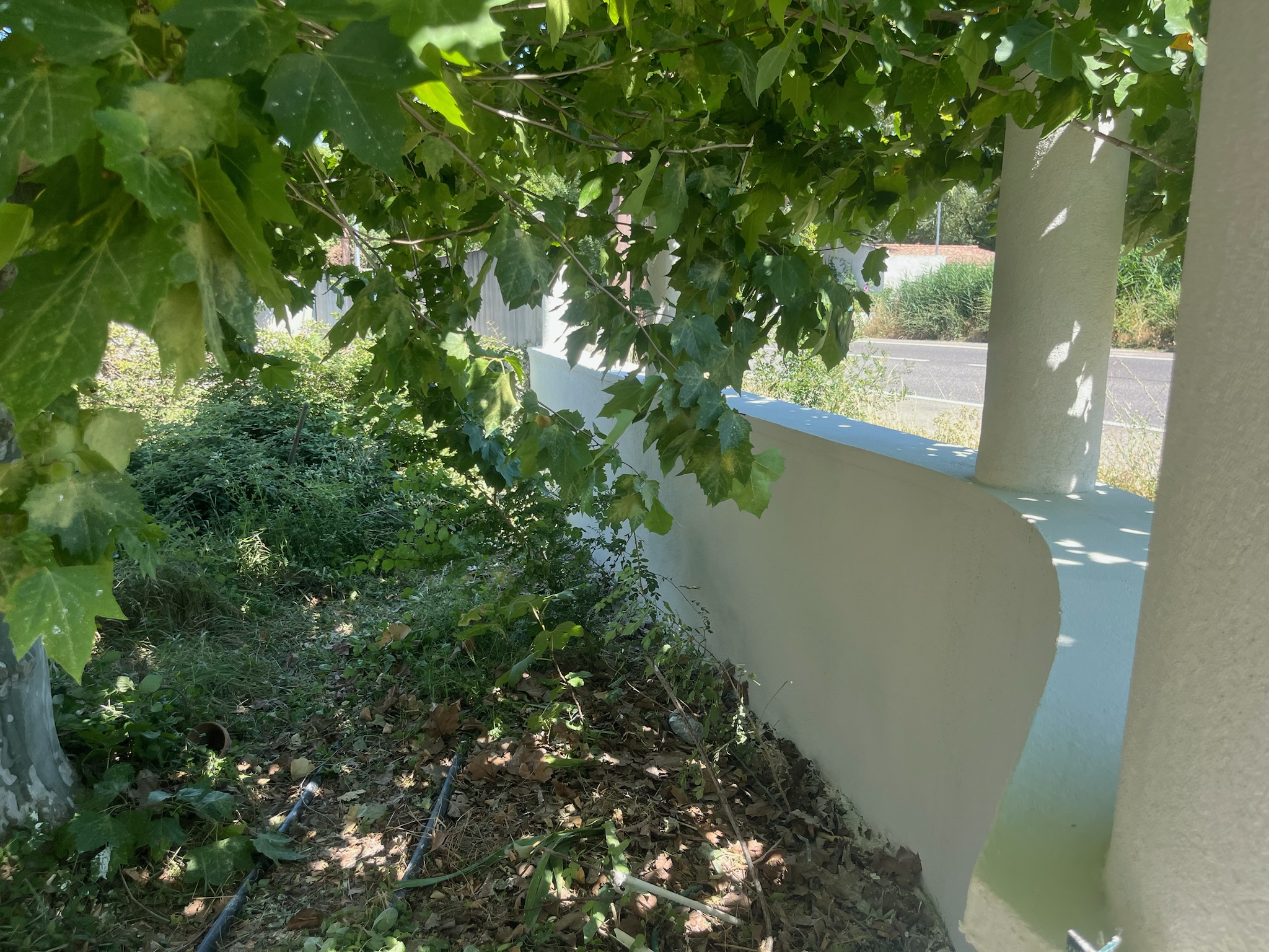 Chantier Yessayan - Photo 38